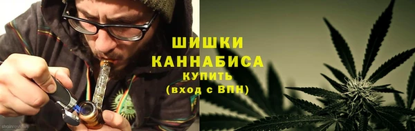 марки lsd Белокуриха